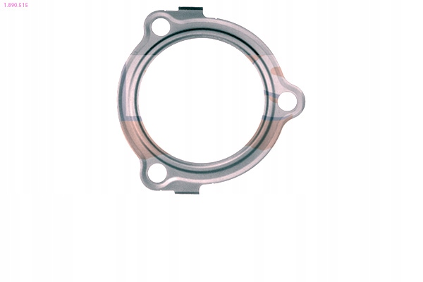 фото №2, Прокладка термостата eps