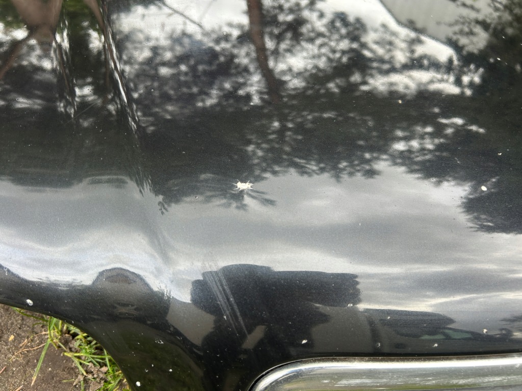 Капот перед audi a8 d2 рестайлінг  lz9w Недорого