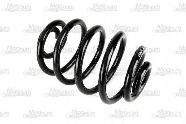 фото №7, Magnum технология sr039mt пружина подвеска