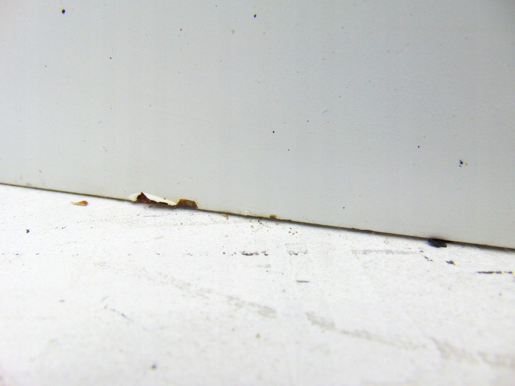 фото №10, Двері ліва лівий перед передні audi a4 b8 8k колір ly9c