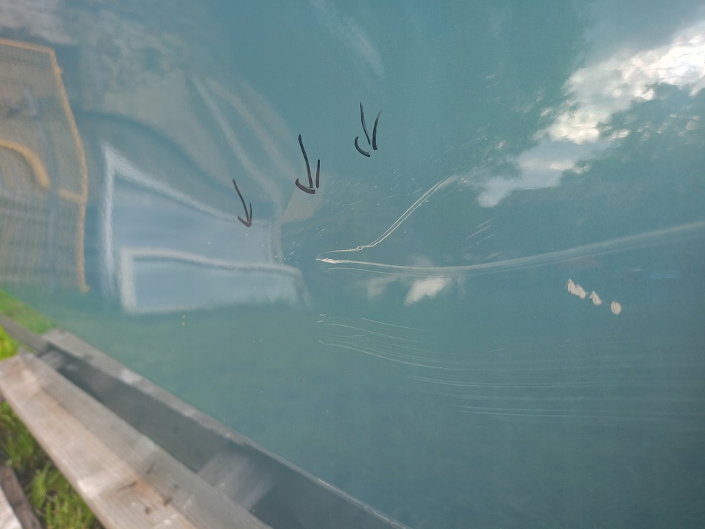 фото №6, Двері праве передні bmw x1 u11 правий перед