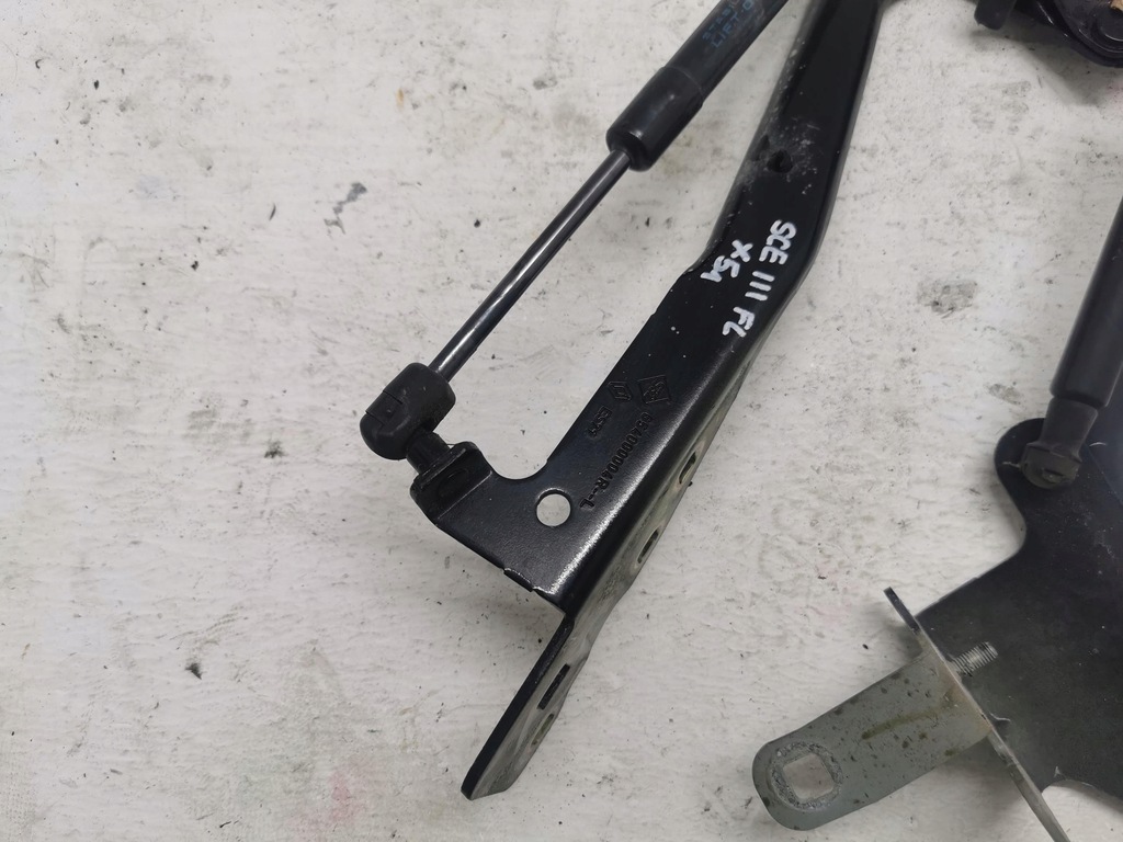 фото №2, Петлі капот комплект renault scenic iii 08-16