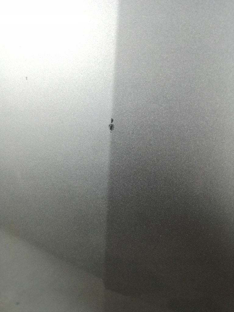 фото №5, Renault megane iii 3 08/13 капот кришка кришка багажника перед шумоізоляція ted69