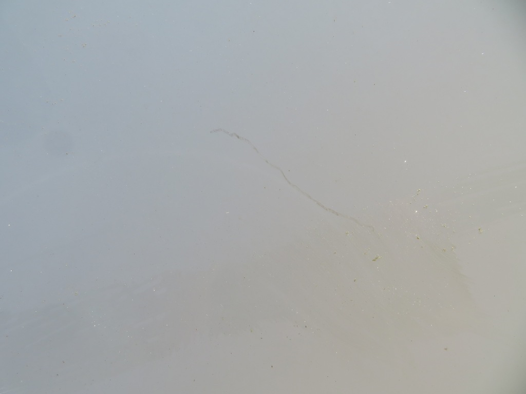 фото №9, Капот кришка двигуна peugeot bipper код лакофарбового покриття 249