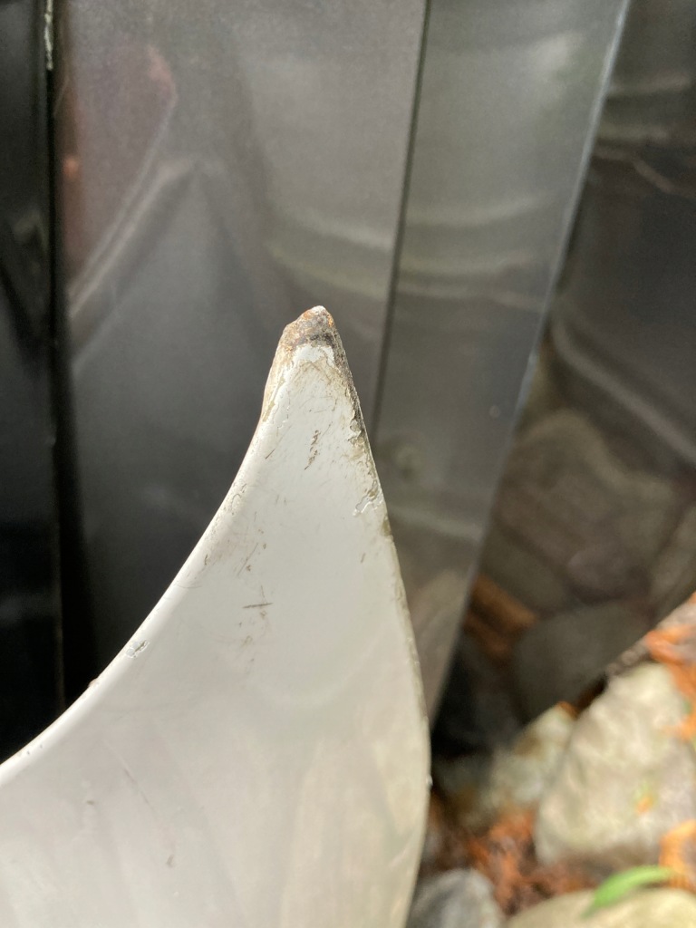 Vw t5-lift капот orygi. с Разборки