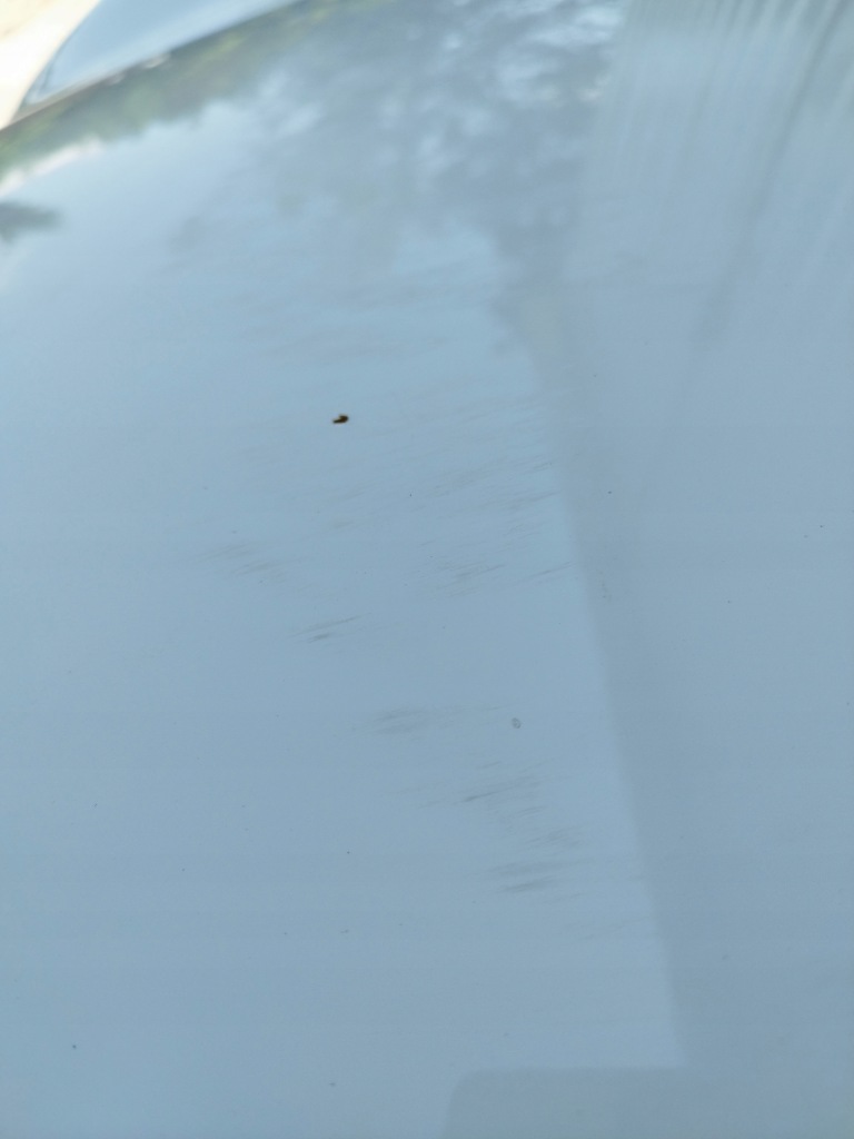 Капот лак 850/0 pepper white mini r56 r57 рестайлинг  2010-2013 1,6 бензин Доставка