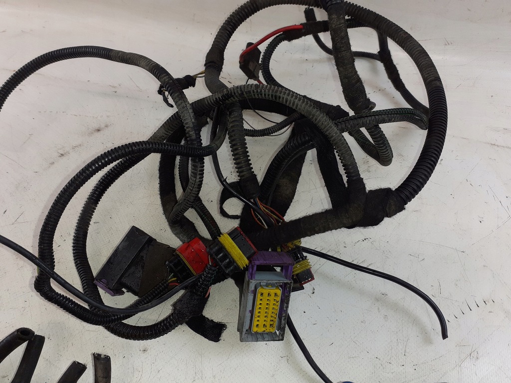 фото №5, Електропроводка газова послідовна diego 4-циліндри