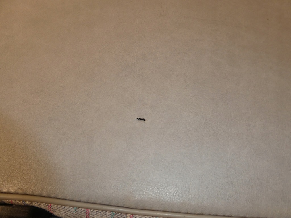 фото №9, Vw t4 сиденье заднее сиденье задняя задняя 2 ряд двойной