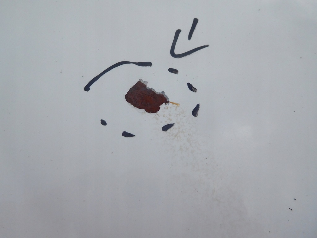 фото №5, Капот skoda fabia i 05r 1026