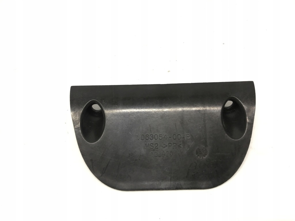 фото №1, Tesla model s lift кришка відсік двигуна org