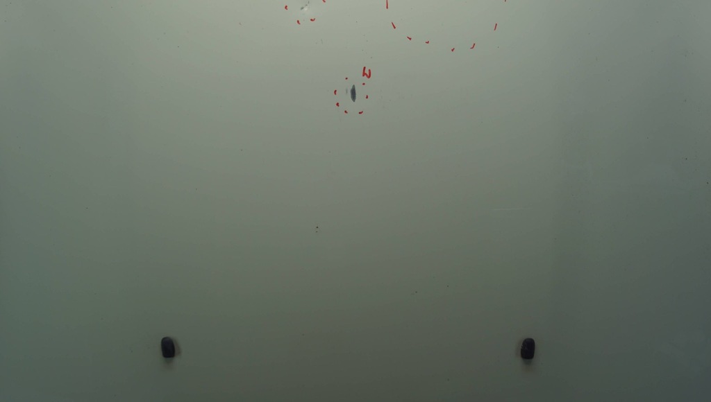 фото №8, Mini cooper r56 капот крышка двигателя бензин m784 1f