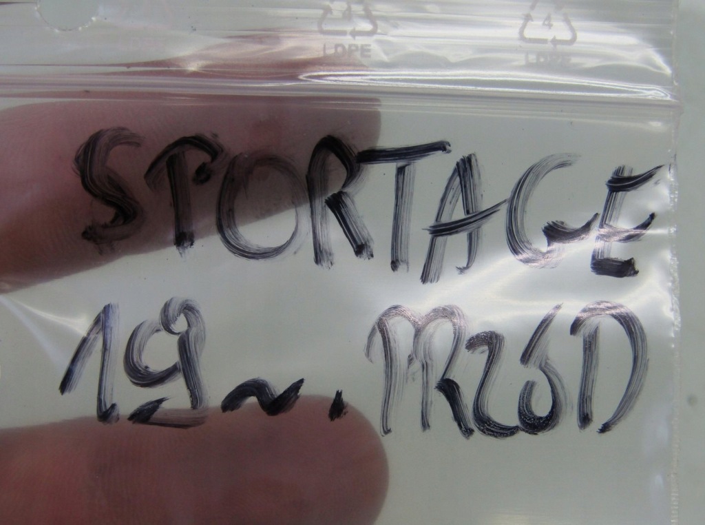 фото №7, Kia sportage iv lift 19r значок logo емблема перед передній