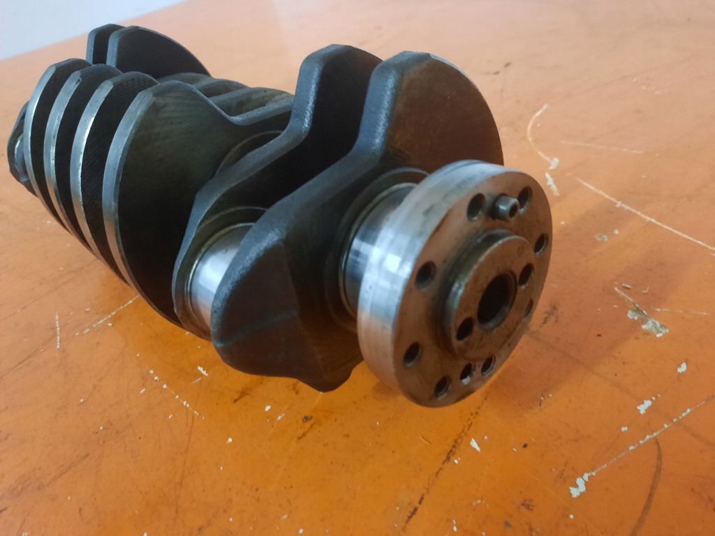 Fiat grande punto 3 1.3m-jet 05-10 wał коленчатый 02027 199a2000 в Украине