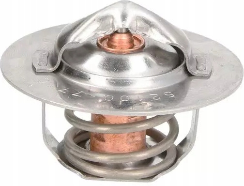 фото №1, Thermotec d2de002tt термостат, рідина охолоджуючий