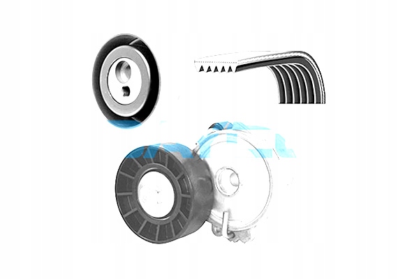 фото №2, Набір ремені багаторучейкових з ролики fiat ulysse lancia zeta 2.0d