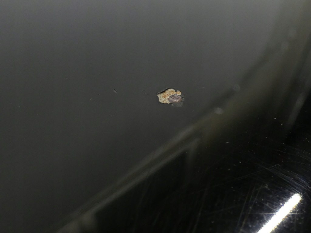 фото №10, Капот кришка двигуна audi a3 8p lift 08r- ly9b