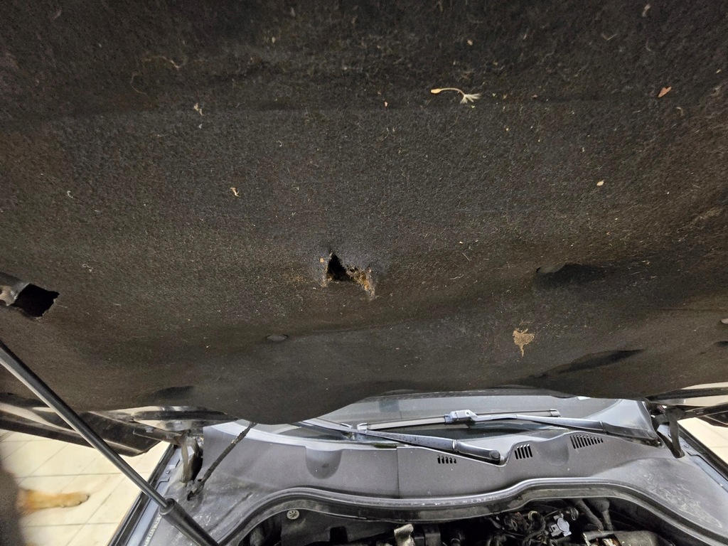 фото №12, Шумоізоляція капот утеплювач капот vw passat b6 3c5 2005-2010 3c0863885a