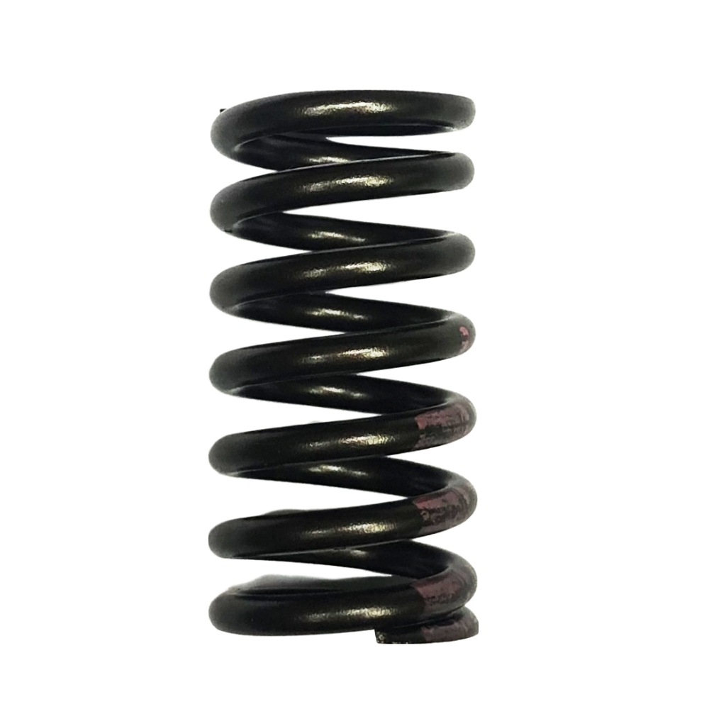 фото №1, Пружина клапанная vw audi оригинальный номер 036109623r