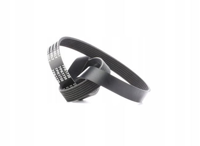 фото №9, Ridex 305p0205 ремінь клиновий багатореберний do hyundai h-1 travel tq 1730mm