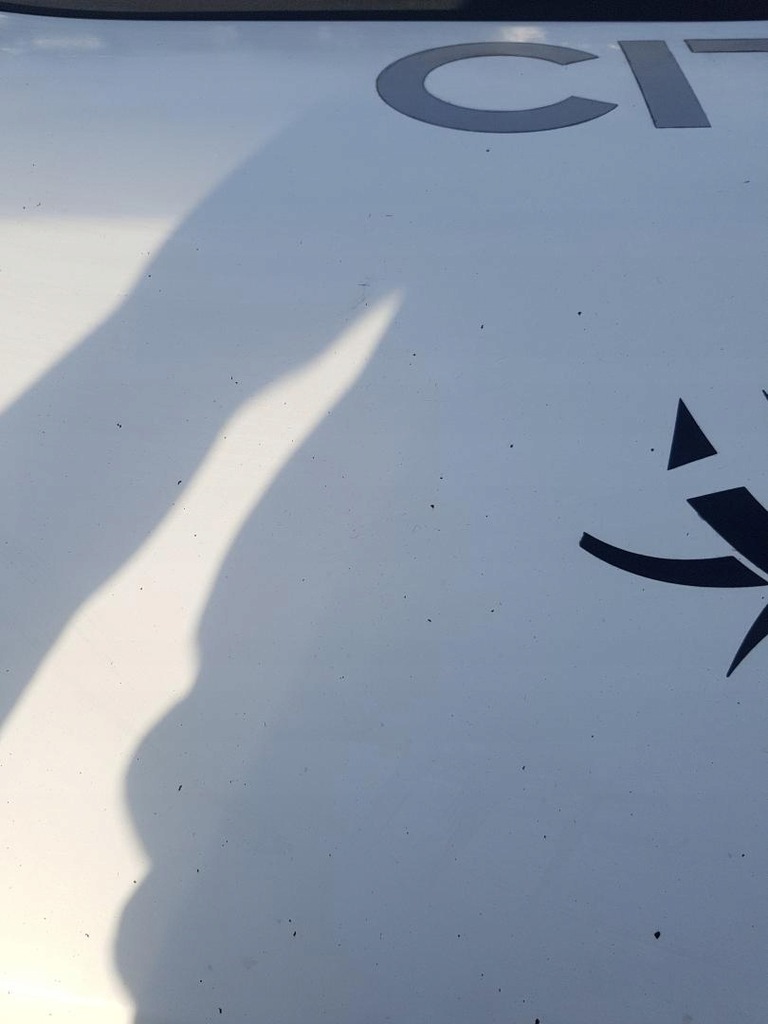 фото №7, Капот крышка двигателя lift citroen jumper ii