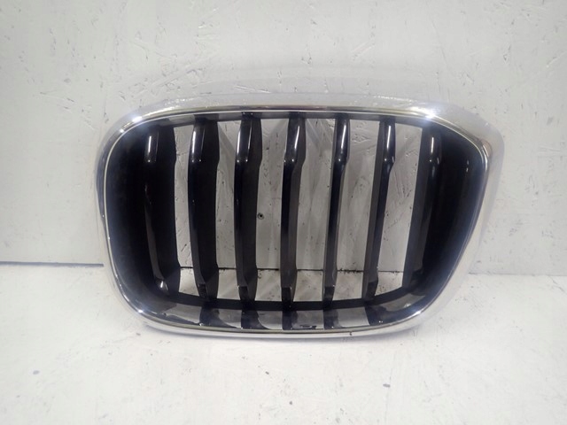 фото №1, Решётка радиатора решётка радиатора решётка радиатора левая bmw x3 g01 x4 g02