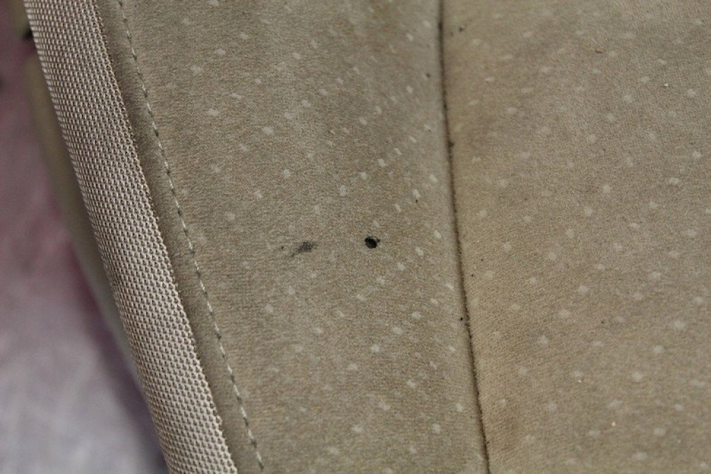 фото №11, Сиденье сиденья комплект обшивка обшивки дверь honda civic 8 viii sedan usa 06-11