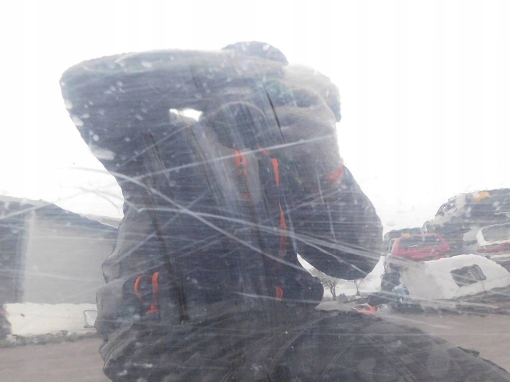 фото №14, Kia sorento i 2009r lift двері лівий задня