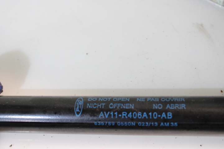 фото №4, Амортизаторы крышки ford b-max 1.0