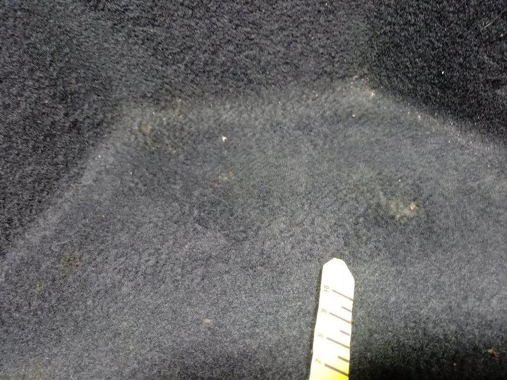 фото №5, Audi q4 e-tron sportback оббивка багажника права 89e863880d