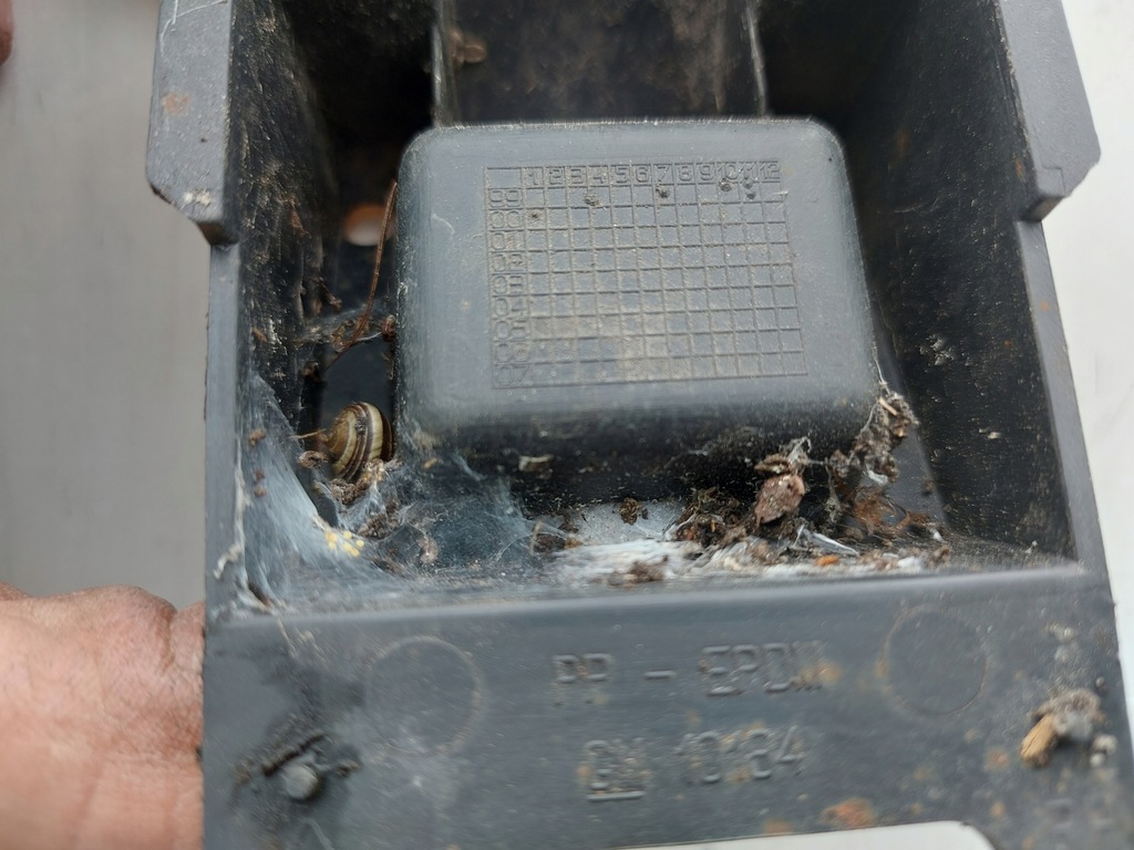 фото №11, Opel astra g bertone порог правый молдинг накладка