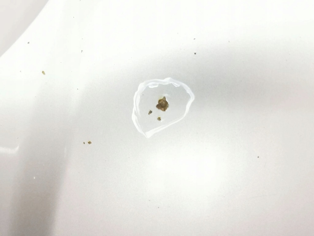 фото №13, Opel zafira a 2003 кришка передня / капот двигуна