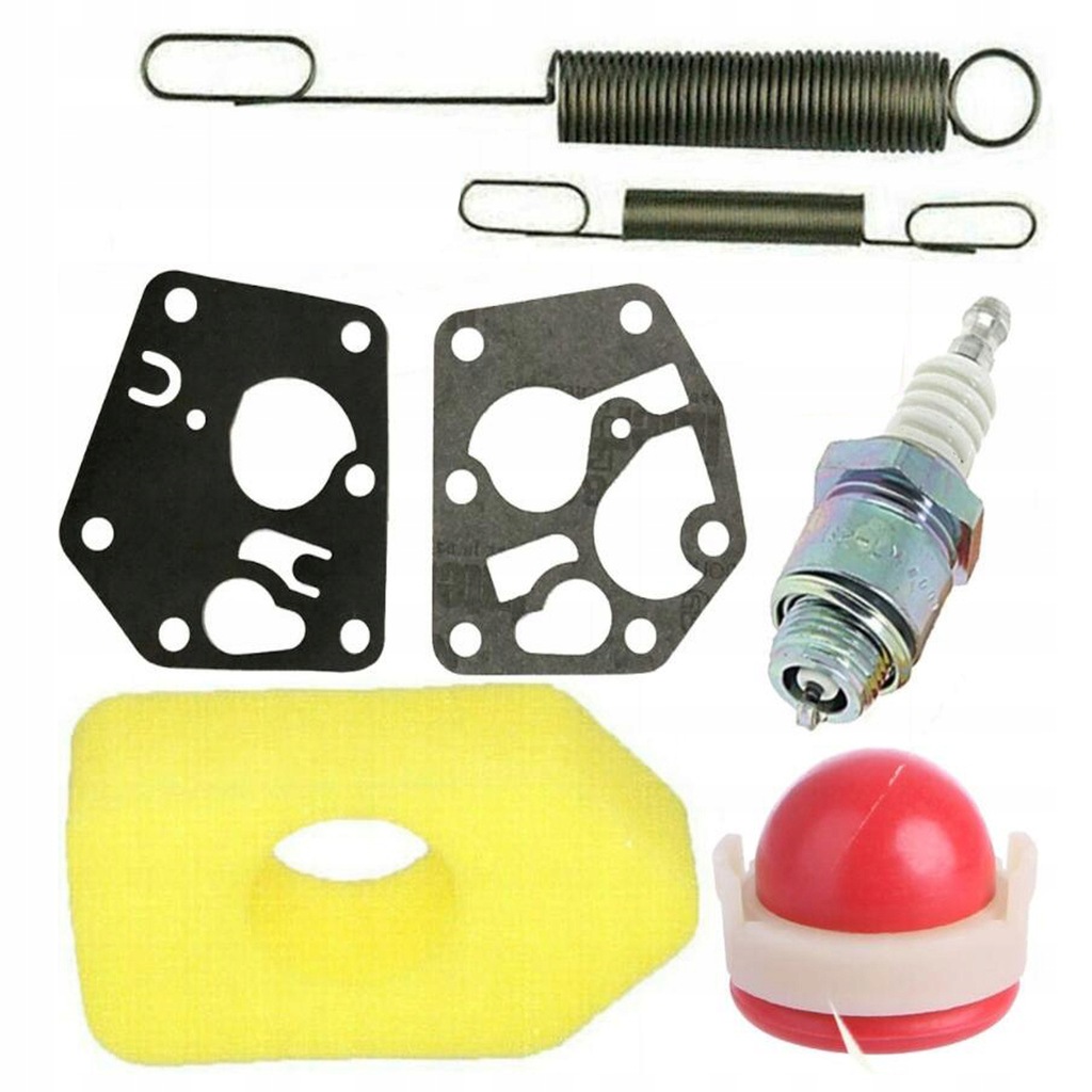 фото №1, Stratton briggs набір фільтр membrany пружини