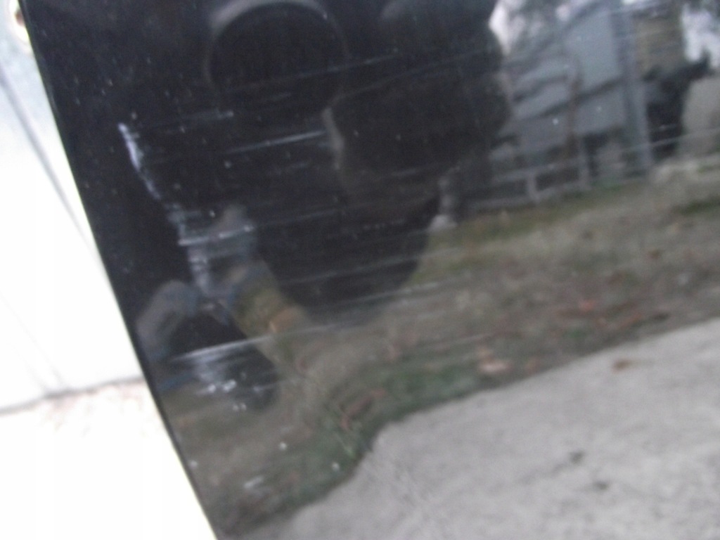 фото №4, Двері лівий перед ліва alfa mito 09r