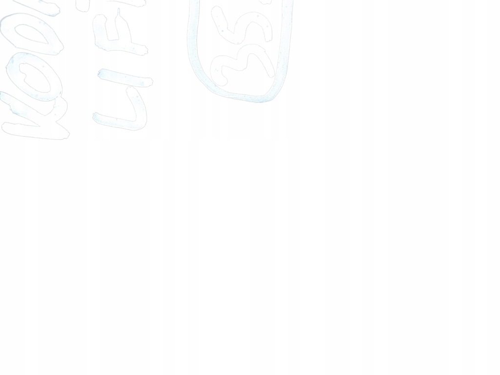 фото №13, Бампер задняя задний skoda kodiaq lift 21- 565807421b 565807568