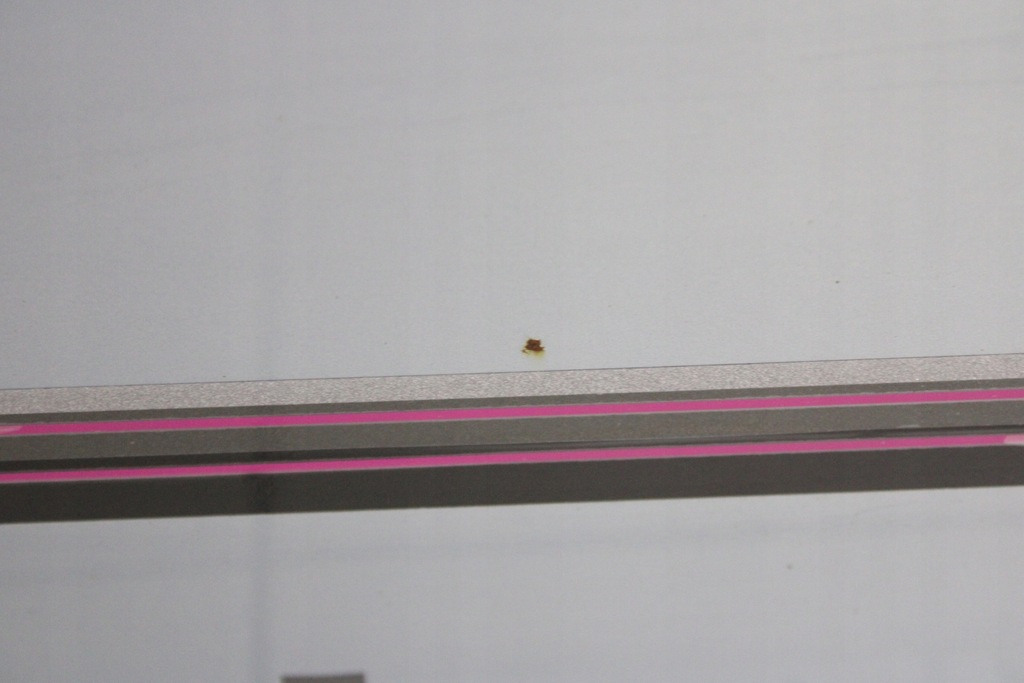 фото №9, Honda jazz ii 01r- дверь правое передние правый перед b528m