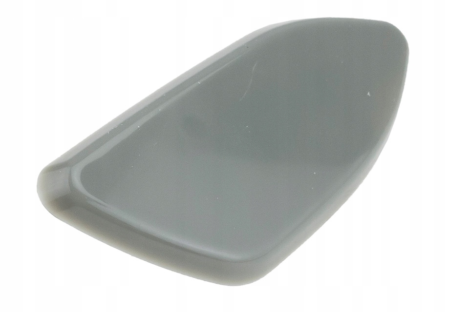 фото №1, Заглушка розпилювача фара