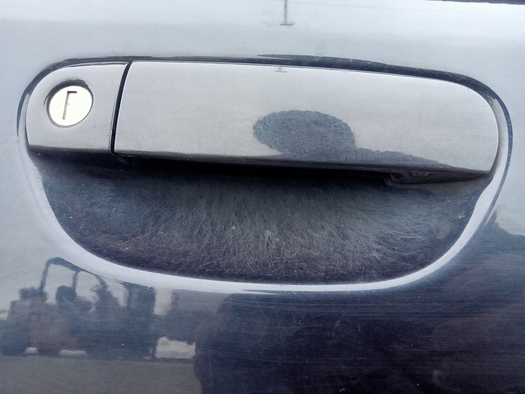 фото №8, Двері правий перед audi a6 c5 allroad lz5q