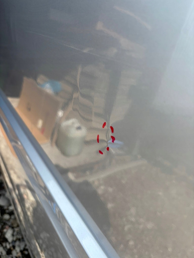 фото №7, Двері бічний зсувні vw crafter ii 7c man tge max