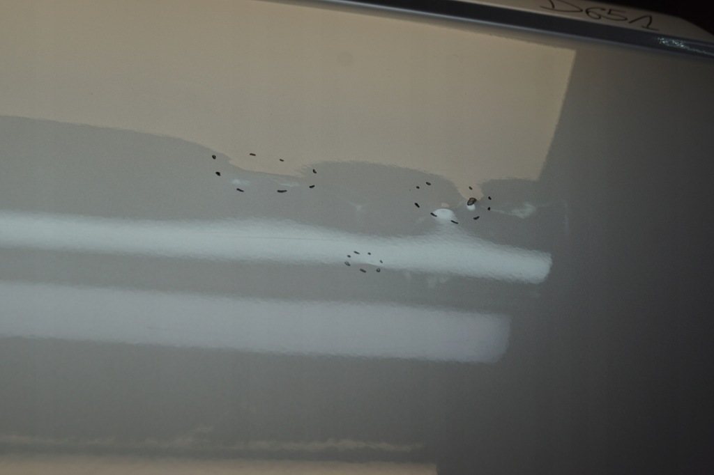 фото №10, Двері лівий bok ліва бічний peugeot partner iii citroen berlingo iii