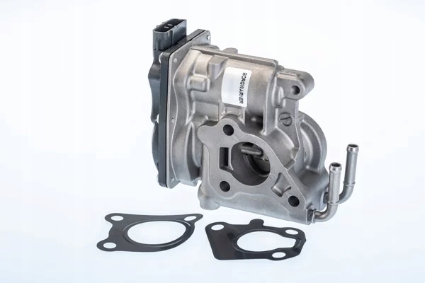 Купити Wahler 710969r клапан agr