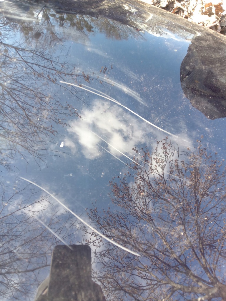 фото №8, Smart fortwo iii 453 дах solar панорама 2014-