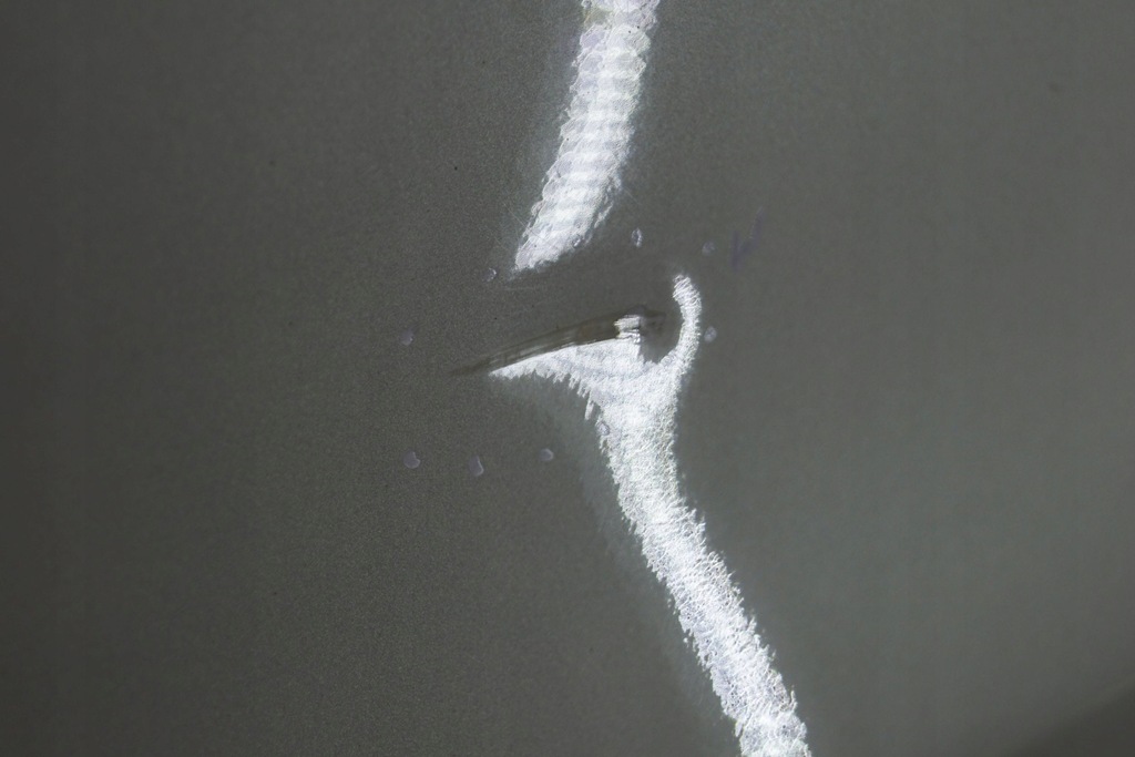 фото №12, Honda cr-v iii дверь правый перед d1872