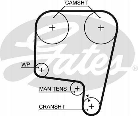 фото №2, Ремень распределительного вала alfa romeo gtv 2.0 v6