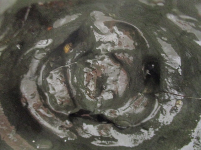 Clio iv рестайлинг  приводной вал шрус  правая 1.2 tce 1.2 16v Доставка