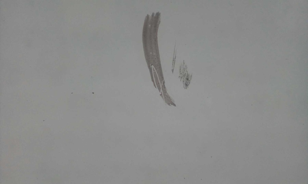 фото №5, Скло лобове mercedes e-klasa w213 2016- камери