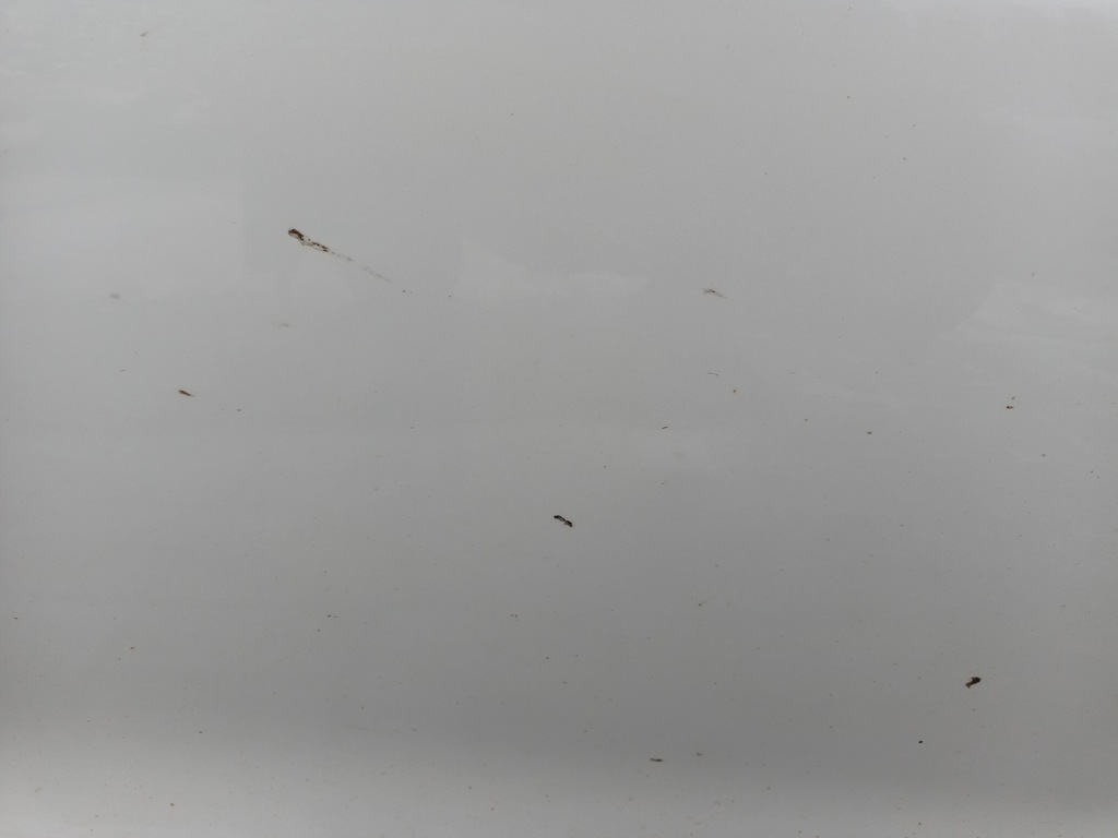 фото №6, Дверь правое передние tesla 3 перед