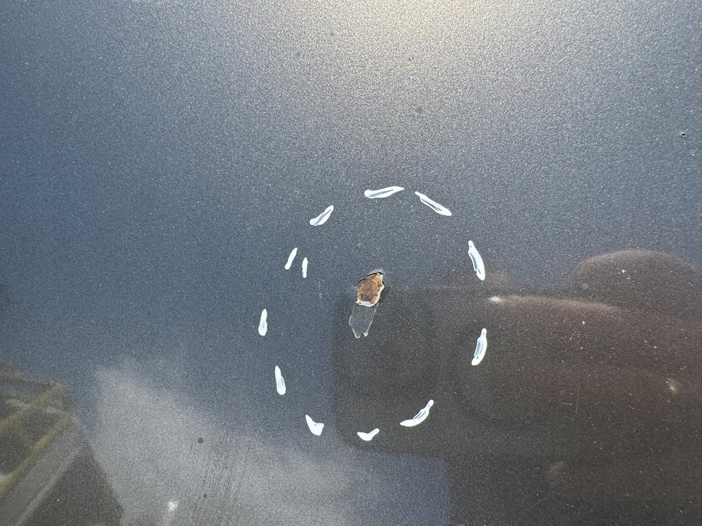 фото №8, Капот передня кришка двигуна fiat bravo ii 07- 865/b 100um