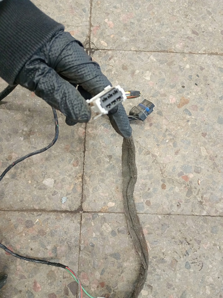 фото №6, 8200466050 жгут drwi левый задняя renault scenic ii