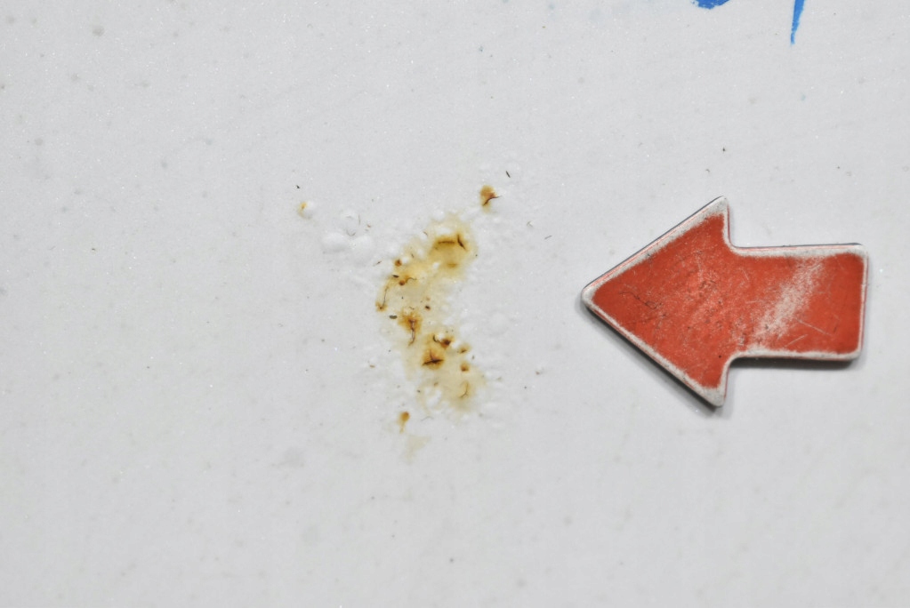 фото №6, Капот крышка двигателя белый honda civic 9 ix 11-16