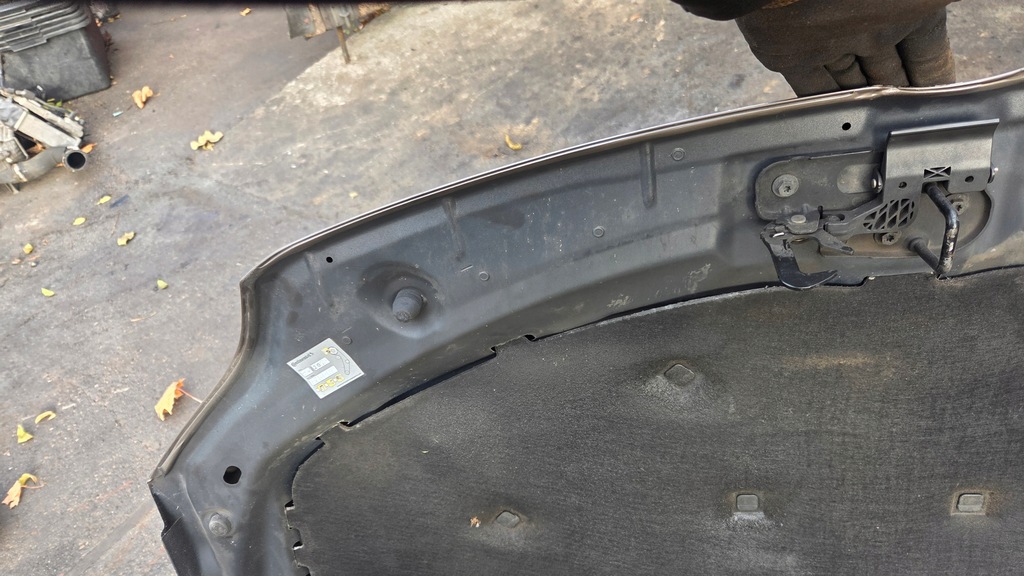 фото №11, Капот крышка двигателя la8x vw golf vi 6 plus + ładna pierwszy лак